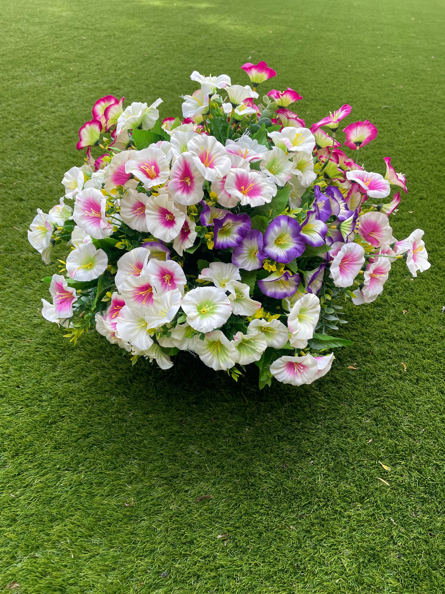 Mary Morning Glory Hanging Basket