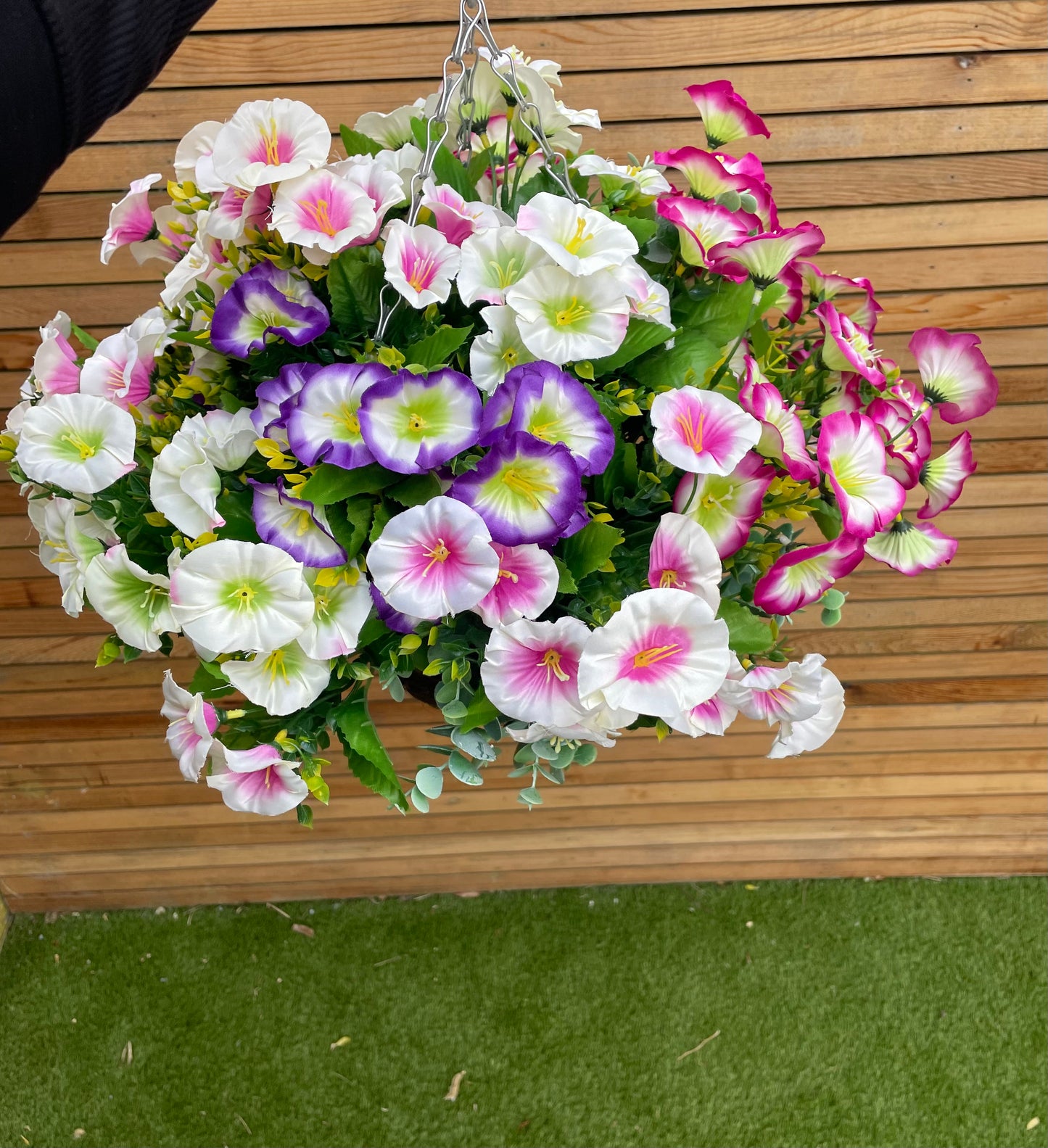 Mary Morning Glory Hanging Basket